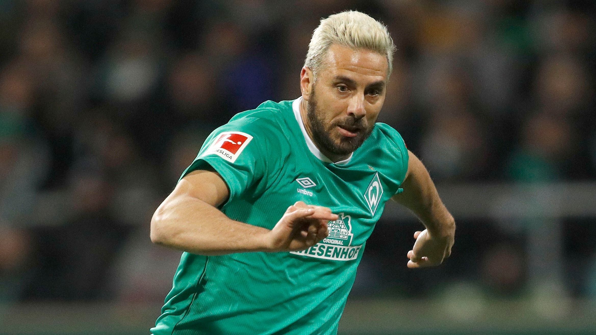 
                <strong>Pizarro stellt Bestmarke mit 38 verschiedenen Bundesliga-Gegnern auf </strong><br>
                Stürmer Claudio Pizarro von Werder Bremen hat mit 41 Jahren einen weiteren Bundesliga-Rekord aufgestellt. Mit dem SC Paderborn traf der Angreifer auf seinen 38. Gegner in der höchsten deutschen Spielklasse. Pizarro wurde gegen den Aufsteiger in der 58. Minute eingewechselt. Bis dato teilte er sich einen Rekord von 37 verschiedenen Bundesliga-Gegnern mit Olaf Thon und Thomas Berthold, den Weltmeistern von 1990.
              