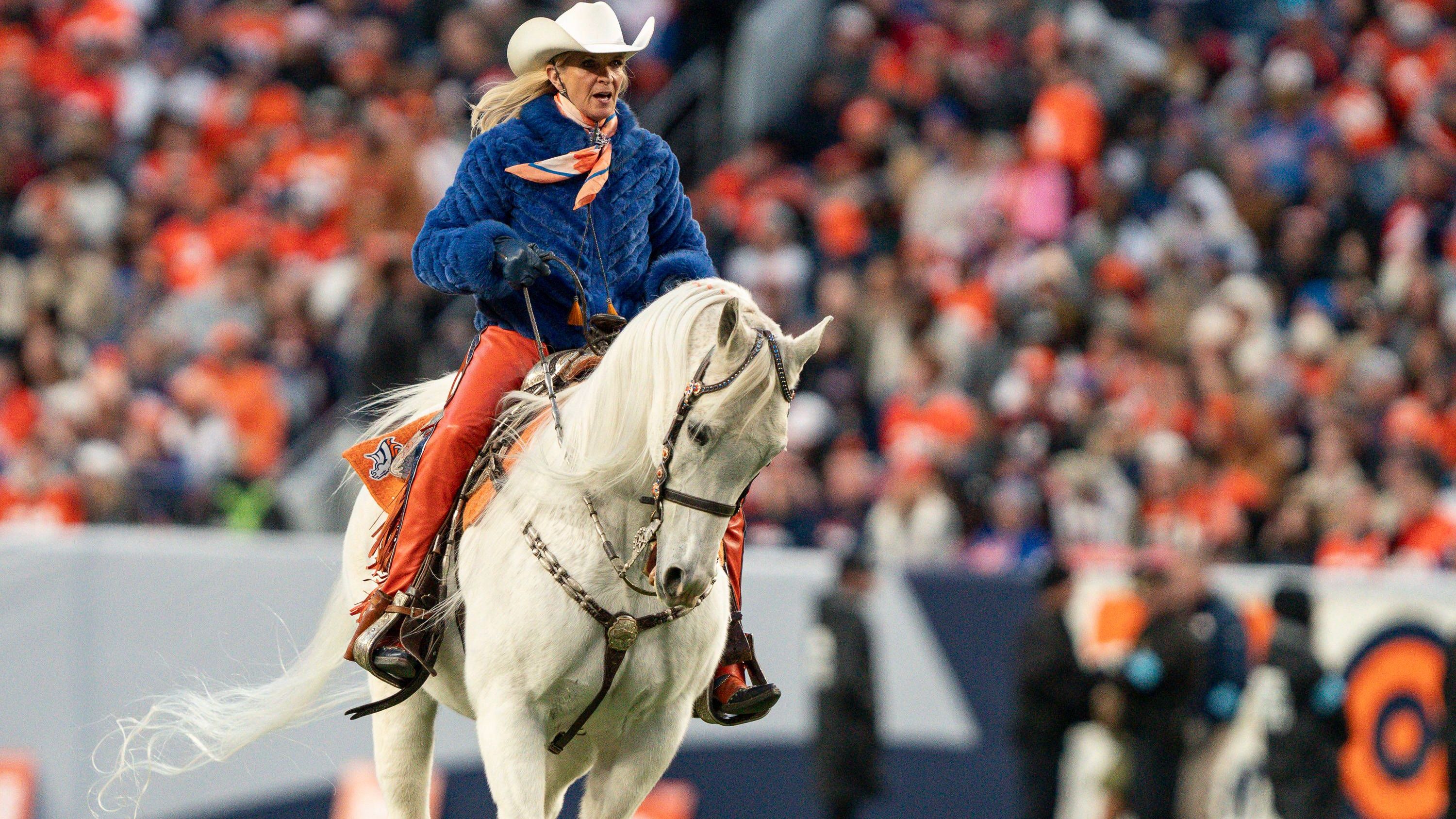 <strong>Denver Broncos</strong><br>Offizielles Maskottchen: Miles Thunder III<br>ChatGPT: Buckshot<br>Erklärung: Dynamischer Pferdename