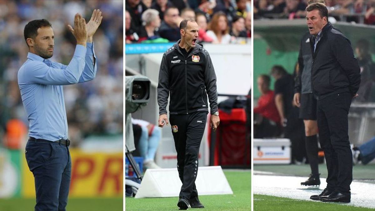 Bundesliga: Diese Teams starten in der neuen Saison durch