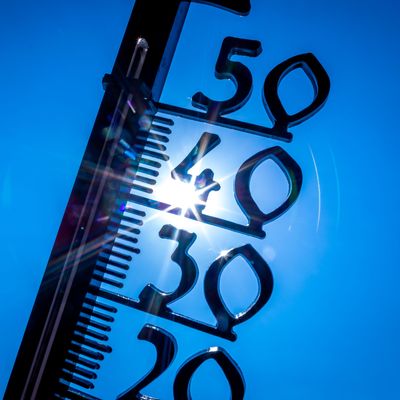 Das Jahr 2023 war eines der heißesten Jahre seit Aufzeichnung. 