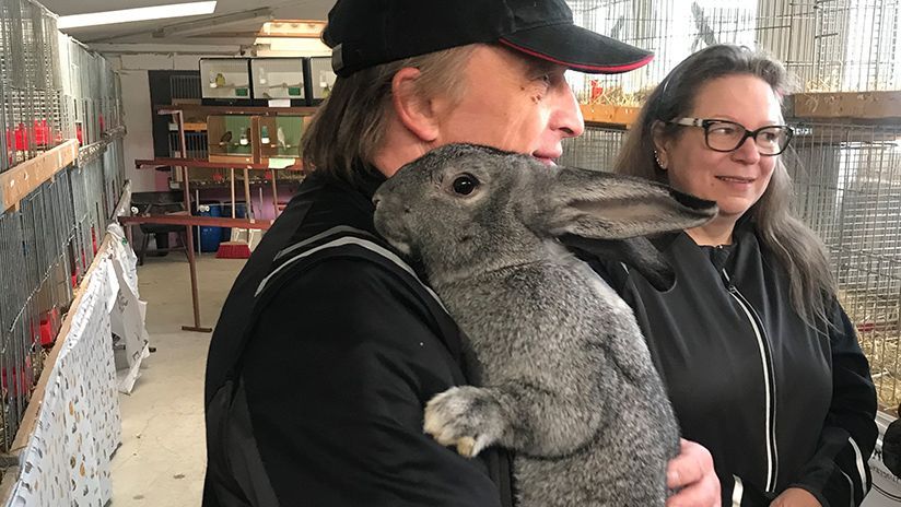 Ob Kaninchen, Tauben, Hühner, Meerschweinchen oder andere Kleintiere - im Kleintierzuchtverein ist Platz für alle kleinen und größeren Kleintiere.