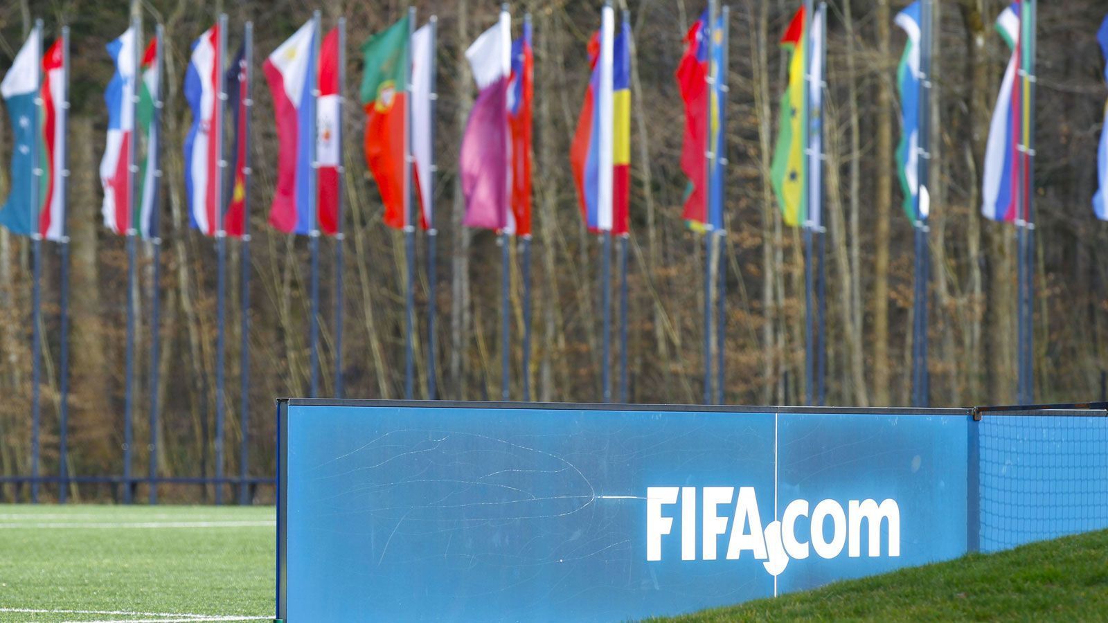 
                <strong>4. Oktober 2013</strong><br>
                Das FIFA-Exekutivkomitee vertagt die Entscheidung über eine WM-Verlegung. 
              