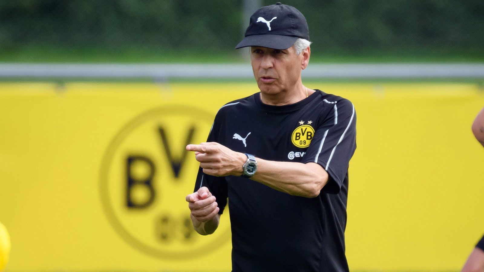 
                <strong>Borussia Dortmund - Lucien Favre</strong><br>
                Im Amt seit: 01.07.2018Vertrag bis: 30.06.2020
              