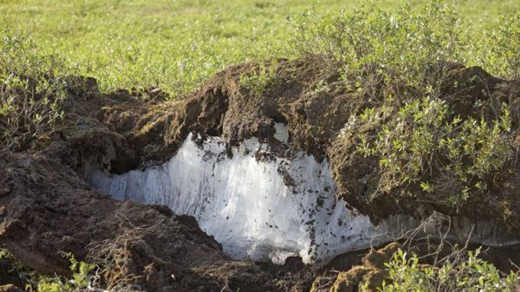 Permafrost im Unterboden: Solche Dauerfrost-Böden, wie dieser &nbsp;in Alaska, kommen meist in nördlichen Breiten und kalten Klimazonen, wie Hochgebirgen, vor.