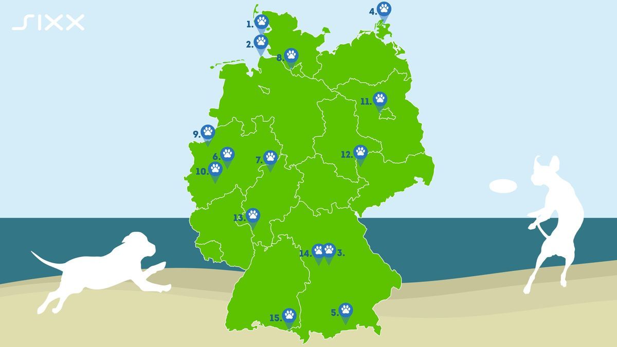 15 Hundestrände in Deutschland, die einen Besuch wert sind