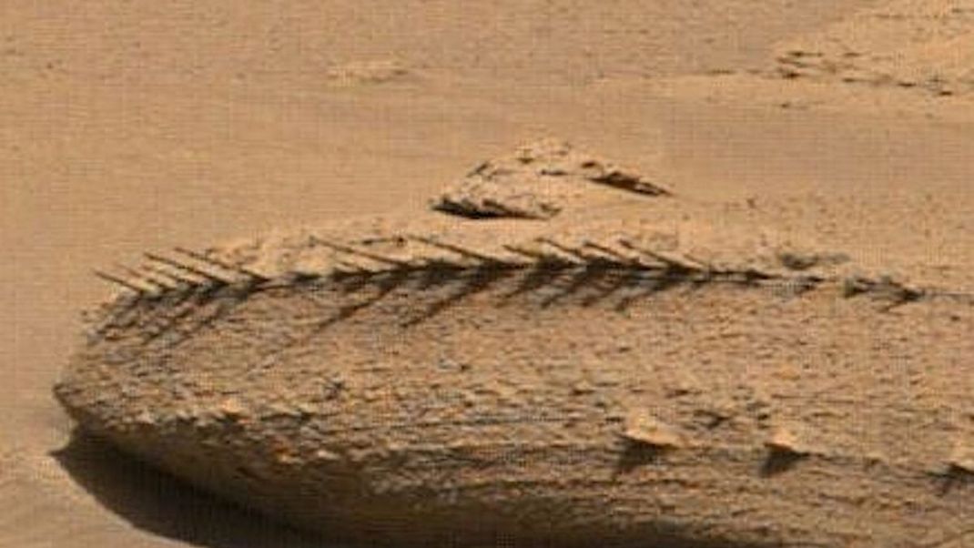 Bilder vom Mars Rover: Sind das "Drachen-Knochen"?