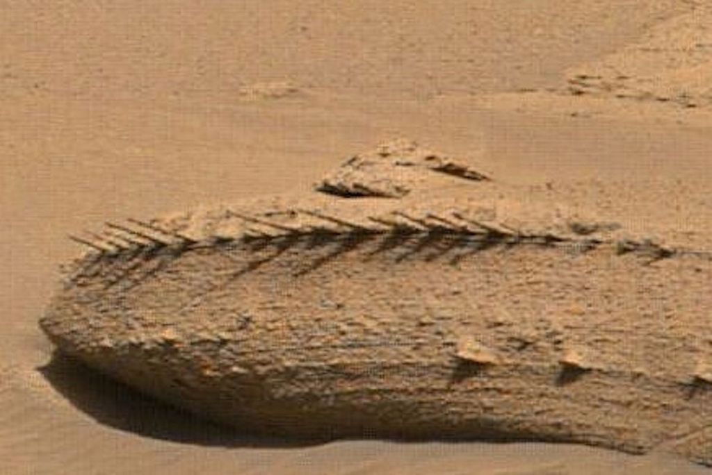 NASA robi zdjęcia „smoczych kości” na Marsie