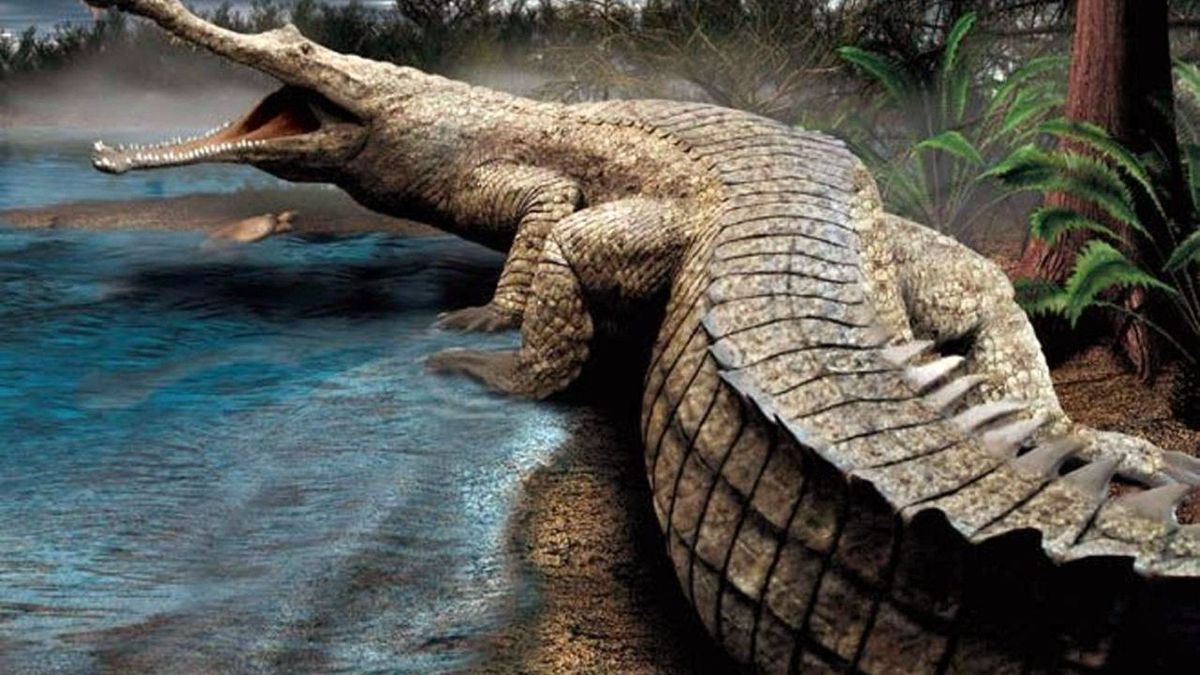 Grosstes Krokodil Alligator Urzeit 711326