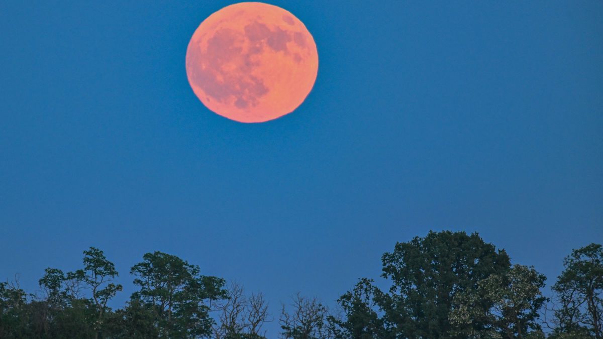 Der Vollmond leuchtet am späten Abend rötlich über der Landschaft.