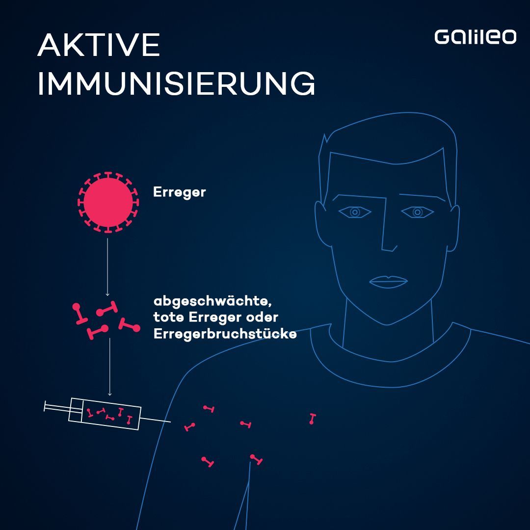 Du wirst geimpft. Im Impfstoff sind tote, abgeschwächte Erreger oder Erregerbruchstücke enthalten.