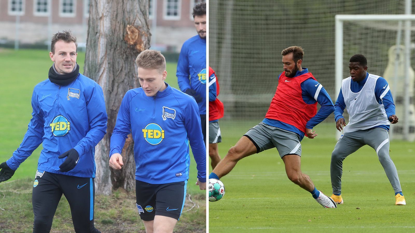 
                <strong>Hertha BSC: Vladimir Darida und Santiago Ascacibar vs. Lucas Tousart</strong><br>
                Tousart könnte der neue Star in Berlin werden. Der Lyon-Neuzugang hat Großes vor und wird es dabei auch Darida und Ascacibar schwer machen wollen. Letzterer war zuletzt länger verletzt, Laufmaschine Darida hat ebenfalls eine sehr durchwachsene Saison hinter sich. 
              