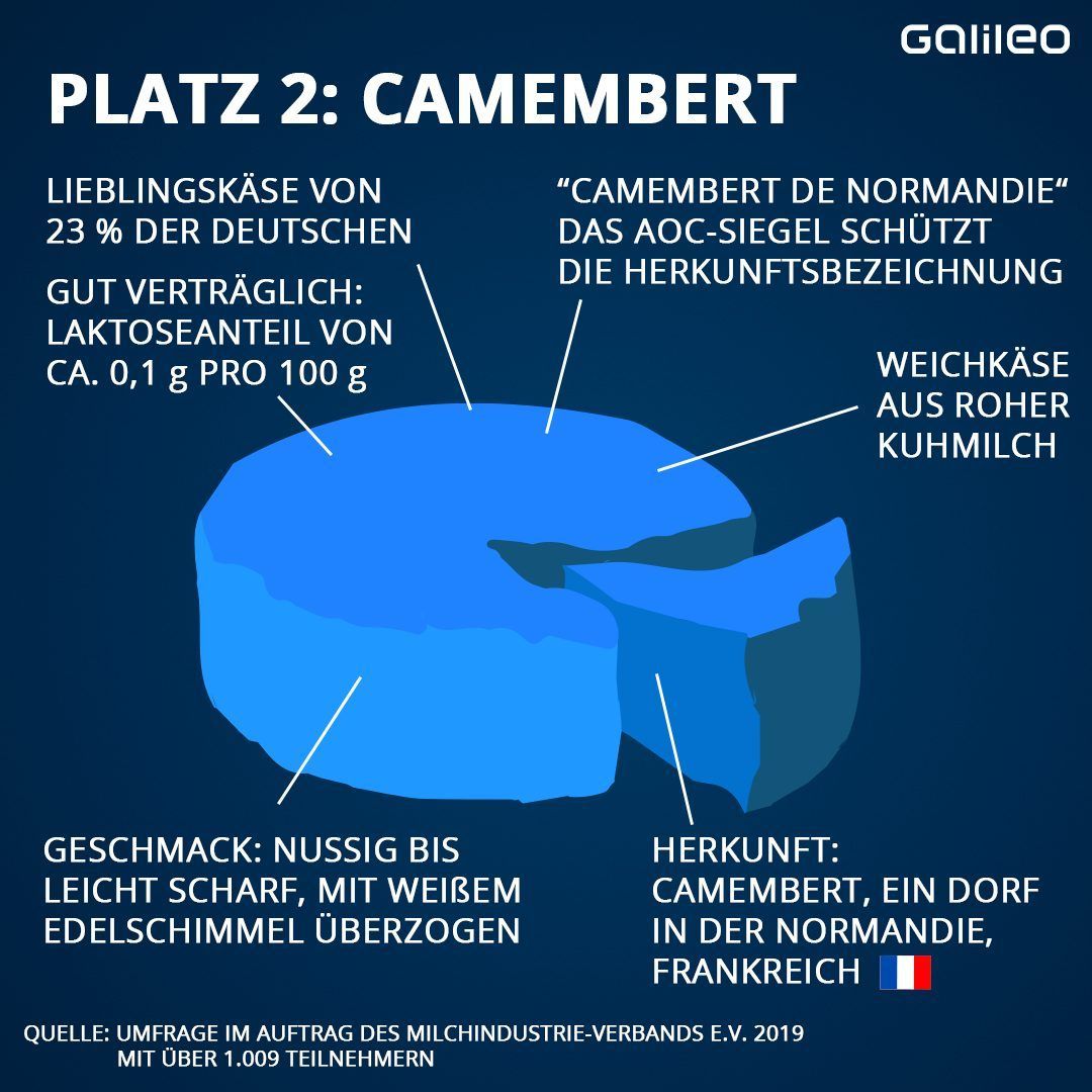 Alles Käse! Diese speziellen Sorten und Kombis solltest du mal probieren