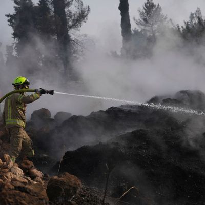 Waldbrand in Israel