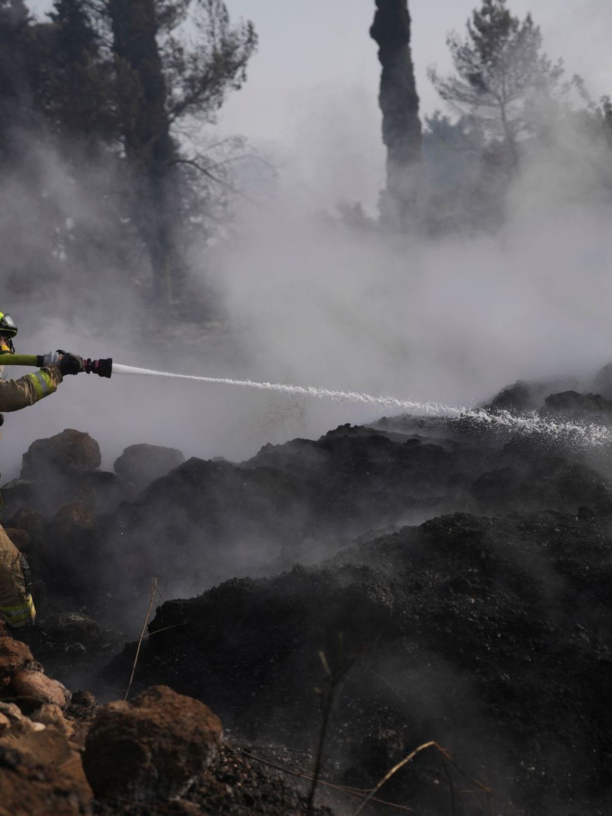 Waldbrand in Israel