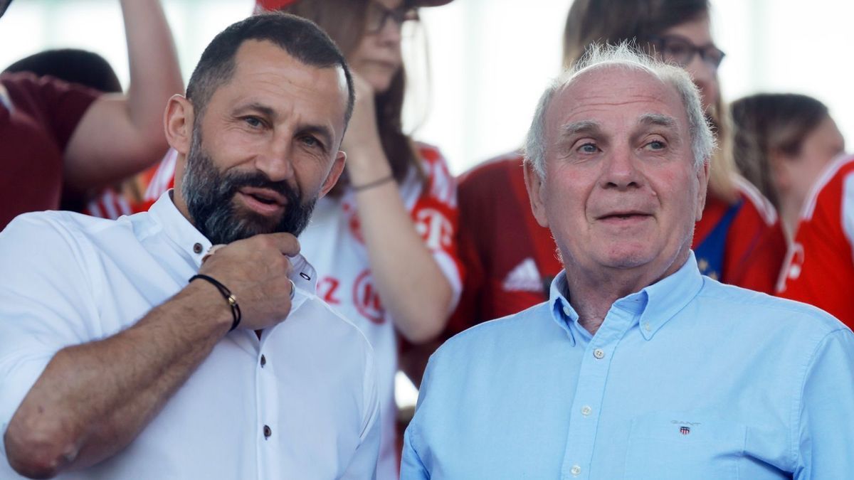 hasan salihamidzic