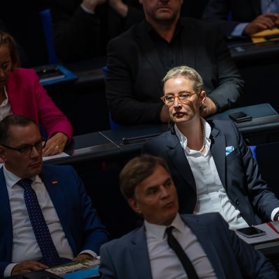 Alice Weidel, Fraktionsvorsitzende der AfD