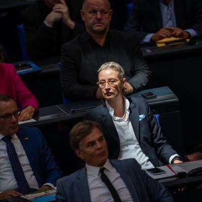 Alice Weidel, Fraktionsvorsitzende der AfD