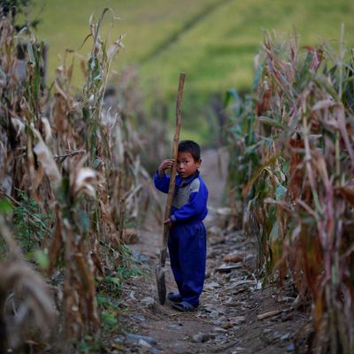 NORTHKOREA-FOOD/