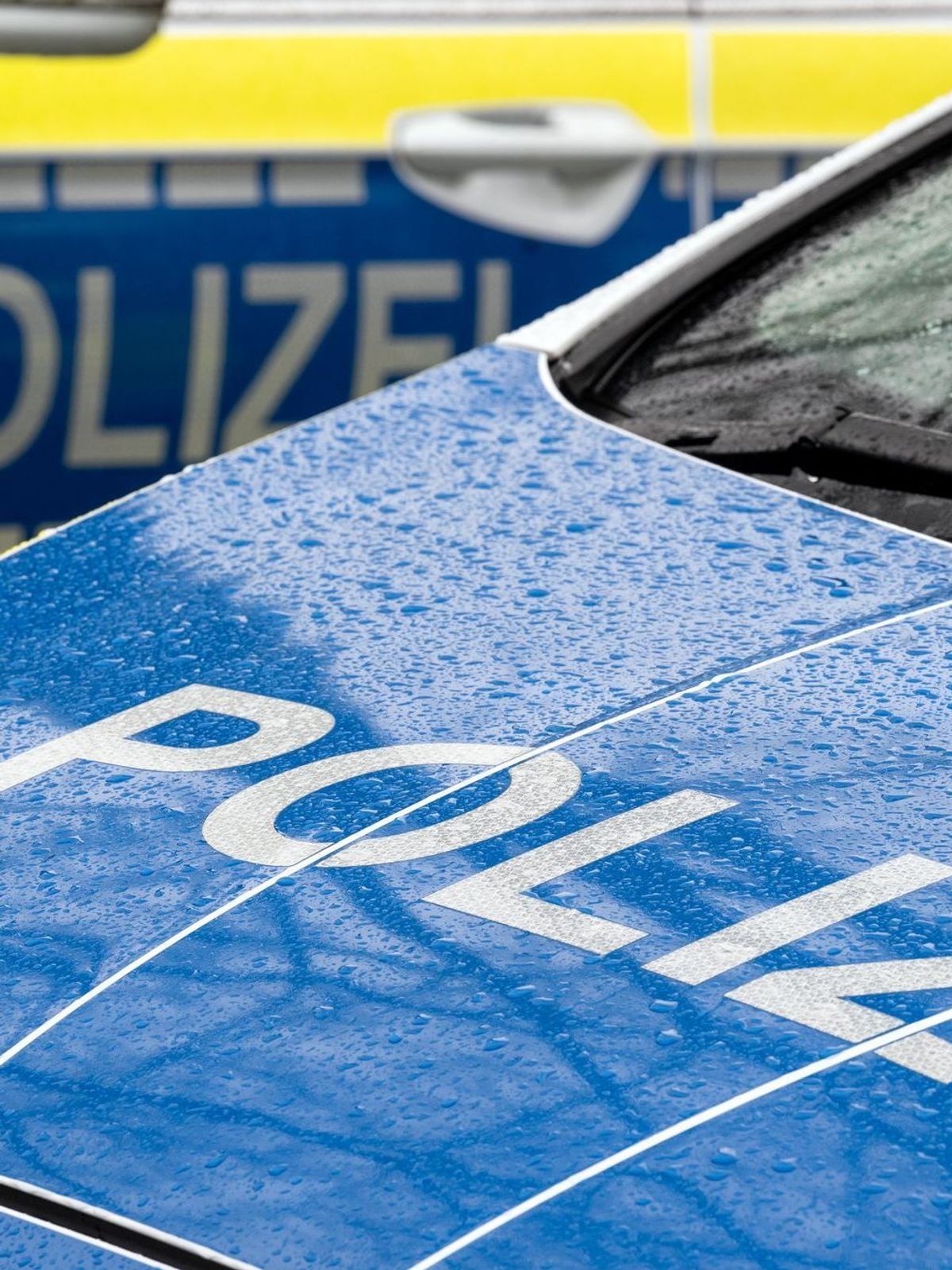 Symbolfoto Polizei