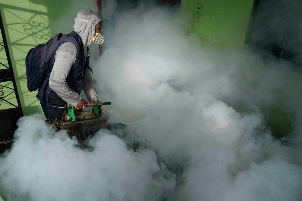 La febbre dengue si sta diffondendo in tutto il mondo