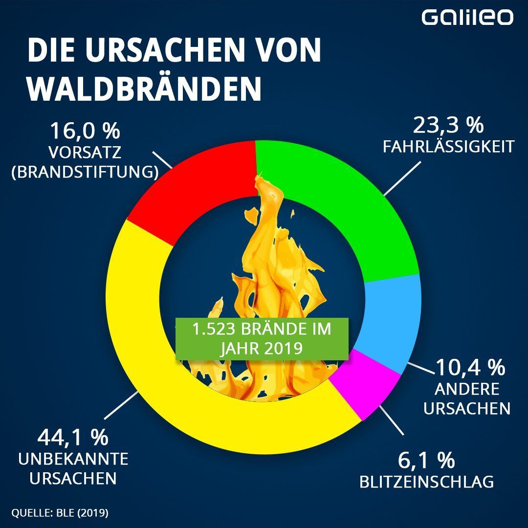 Die Ursachen von Waldbränden sind vielfältig und trotzdem beinahe die Hälfte von ihnen noch unbekannt.