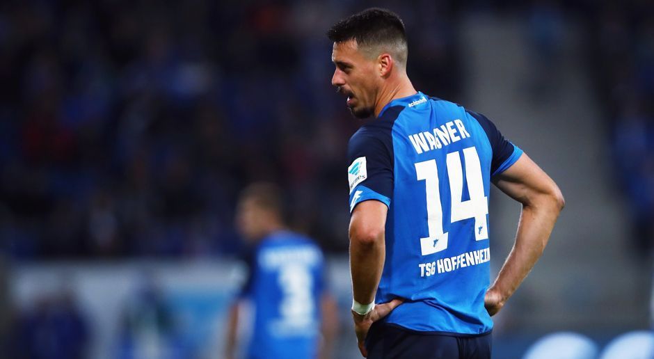 
                <strong>Platz 4: Sandro Wagner (TSG 1899 Hoffenheim)</strong><br>
                2748 Minuten auf dem Feld bei 31 Einsätzen
              