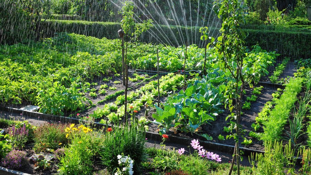 Gesund für Mensch und Natur - und gut für den Geldbeutel: Gartenarbeit zahlt sich aus.