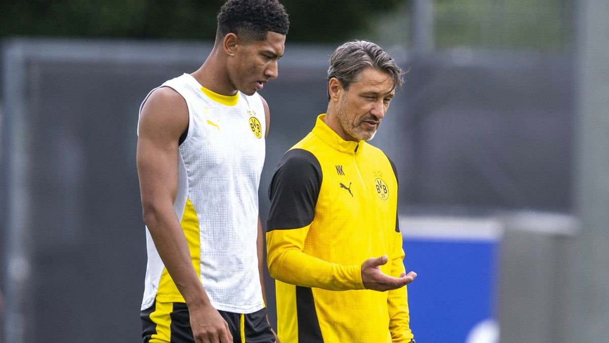 Im engen Austausch: Kovac (r.) mit Bellingham