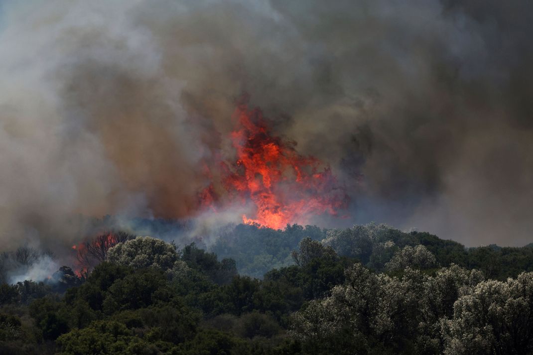 In der Nähe von Izmir ist ein Waldgebiet von den Flammen betroffen.
