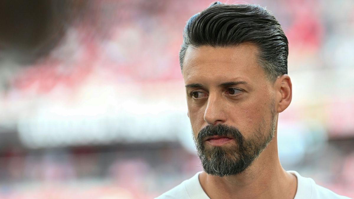 FCA-Trainer Sandro Wagner
