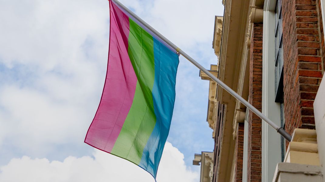 Polysexuelle Pride Flag in Magenta, Grün und Cyan.