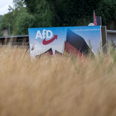 AfD