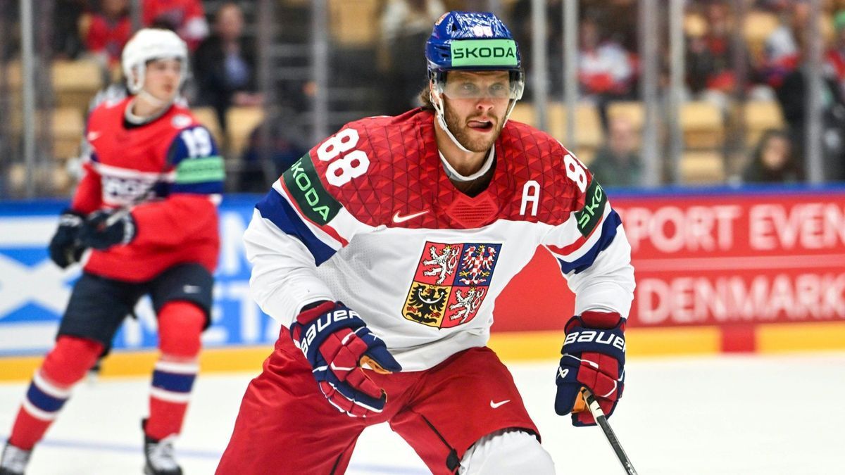 Weltmeister David Pastrnak