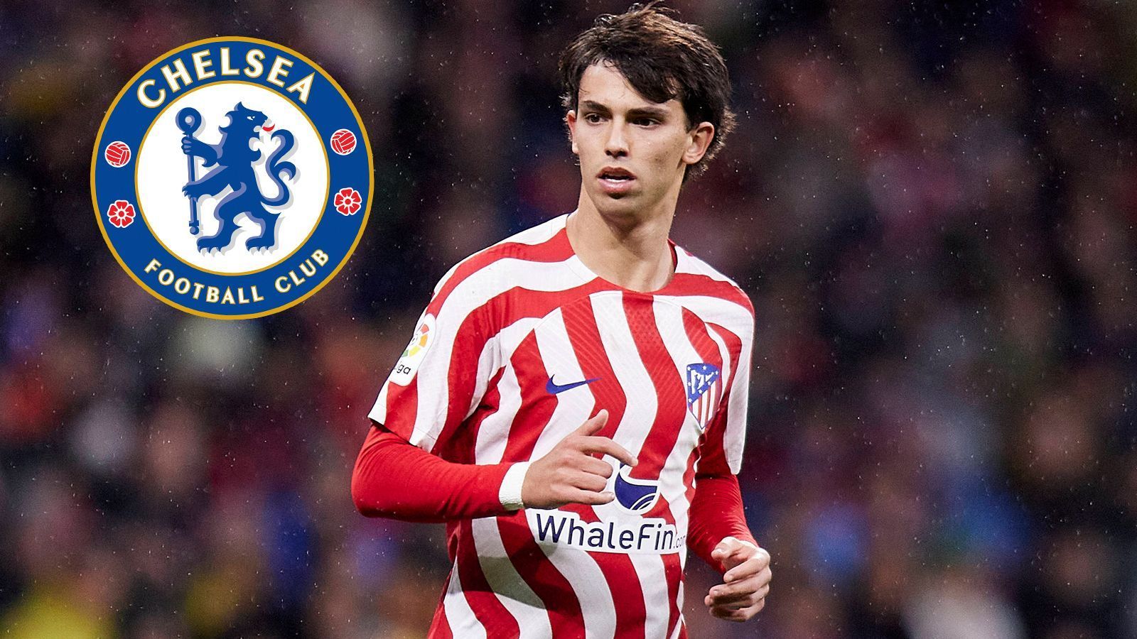 
                <strong>Joao Felix (FC Chelsea)</strong><br>
                Der FC Chelsea befindet sich im Kaufrausch: Joao Felix schließt sich den "Blues" per Leihe bis zum Saisonende an. Doch der hat seinen Preis: 11 Millionen Euro bedeuten eine Gebühr von 1,9 Millionen Euro pro Monat und machen ihn zum teuersten Leihspieler der Geschichte. Den gesamten Transfer-Wahnsinn des FC Chelsea seht ihr hier.
              