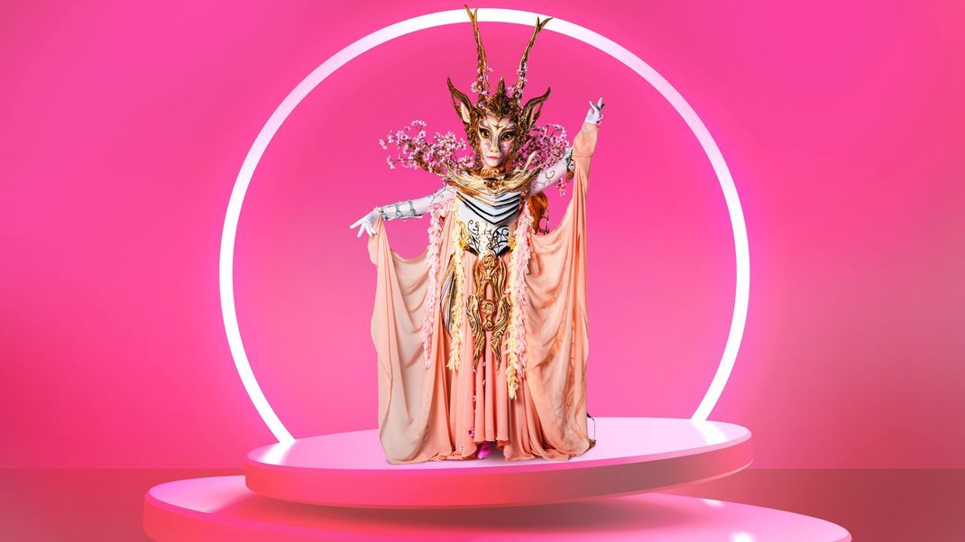 Masked Singer - Figure 1