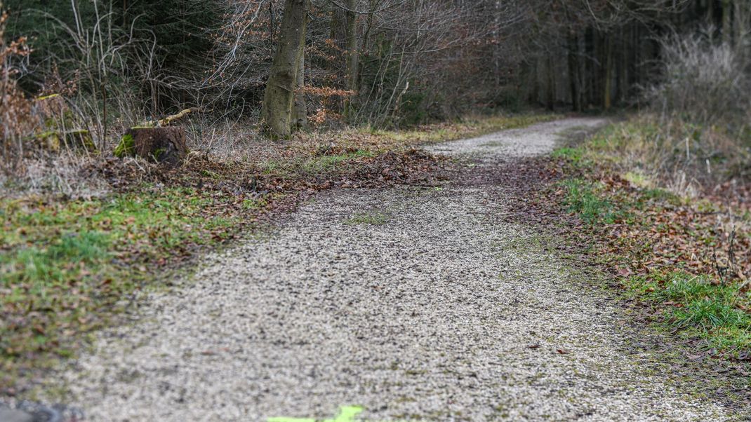 urn:newsml:dpa.com:20090101:240101-99-462002