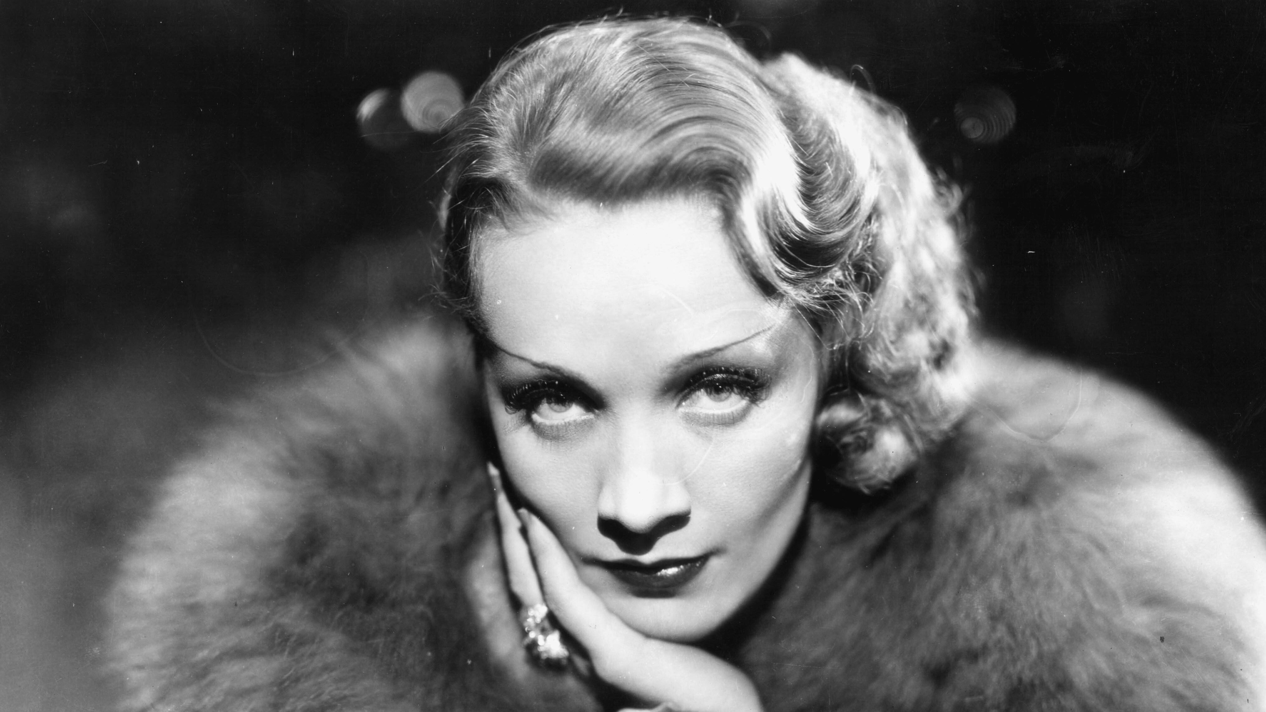 Marlene Dietrichs Frisur hat wie sie selbst Ikonenstatus. Ihre kurzen Locken legte sie in eine elegante Wasserwelle.
