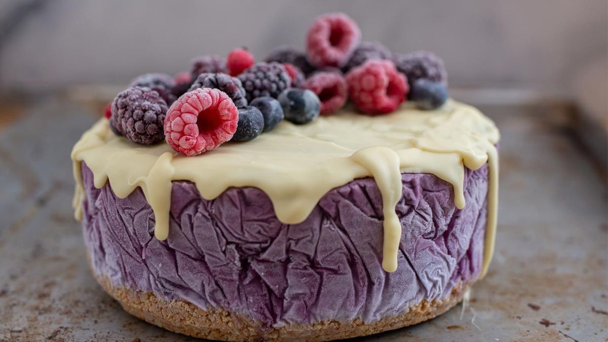 Vegane Blaubeer-Kokos Torte