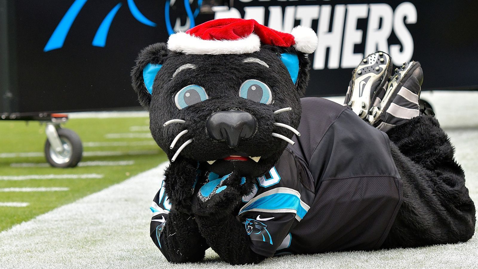 
                <strong>Carolina Panthers: Sir Purr</strong><br>
                Sir Purr ist ein Schwarzer Panther, der in einem Dauerclinch mit Jacksonvilles Jaxson de Ville liegt. Manchmal wird er bei den Spielen auch von seiner kleinen Schwester, Mini Meow, begleitet.
              