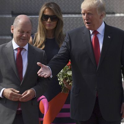 Scholz und Trump