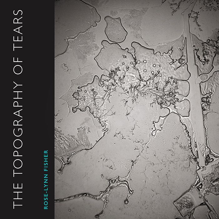 In dem Buch "The Topography of Tears" gibt es viele weitere Aufnahmen von Tränen. Sie sehen aus wie Luftaufnahmen von emotionalen Landschaften.