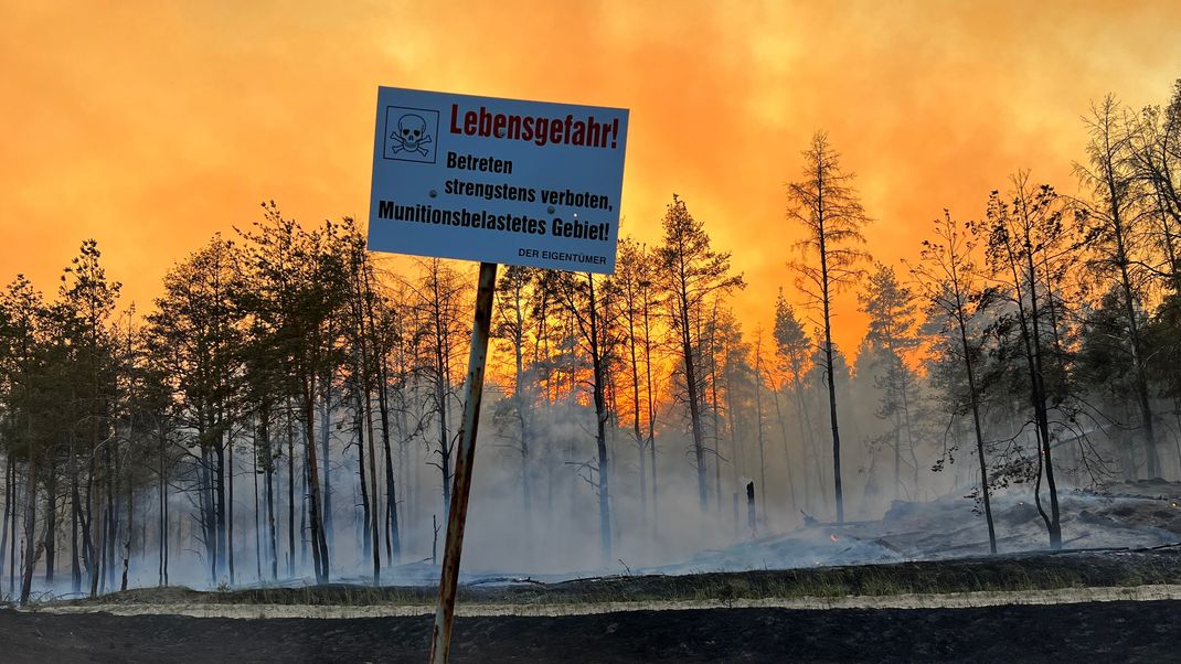 Im Juni brannte es in Lübtheen in Mecklenburg-Vorpommern auf zwei ehemaligen Truppenübungsplätzen.