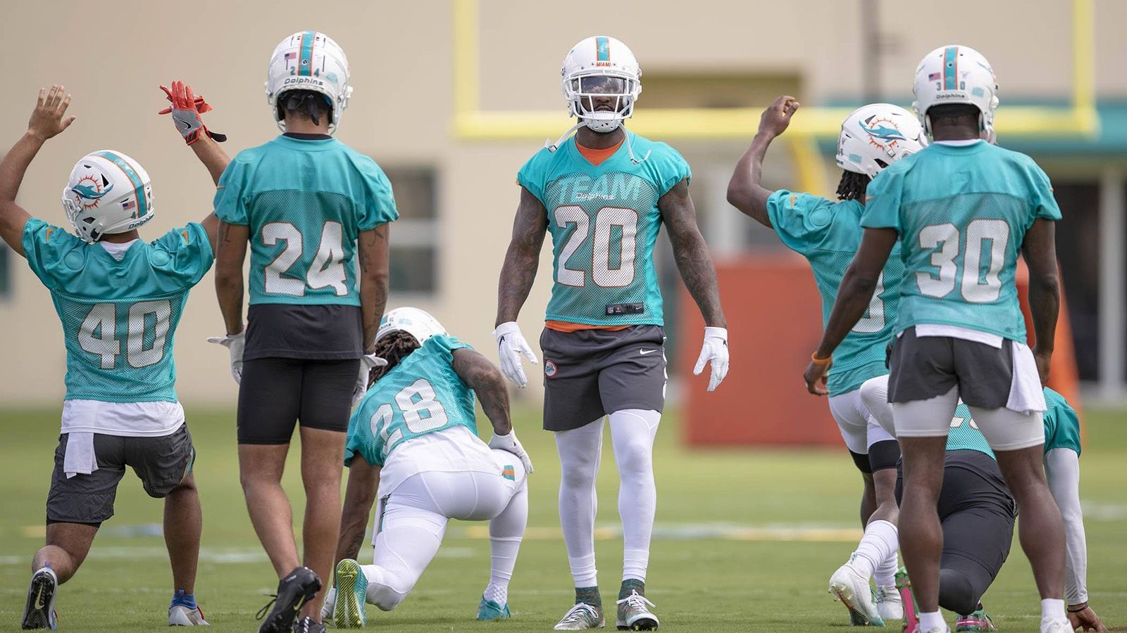 
                <strong>Miami Dolphins</strong><br>
                Gesamtstärke: 74Defense Rating: 72Offense Rating: 69
              