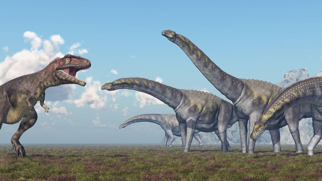 So könnte eine Herde der riesigen Argentinosauriern ausgesehen haben (hier inlusibe eines angreifenden Mapusaurus)  