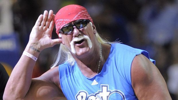 Hulk Hogan Image