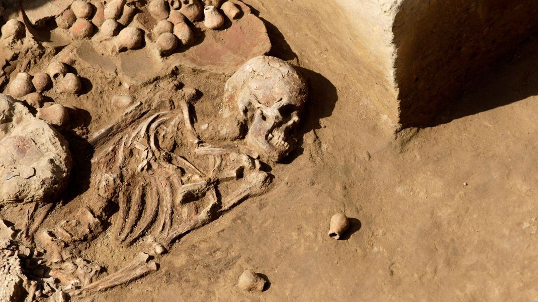 Auf dem Bild ist ein 2013 in Peru gefundenes, etwa 1.200 Jahre altes Skelett, zu sehen. 