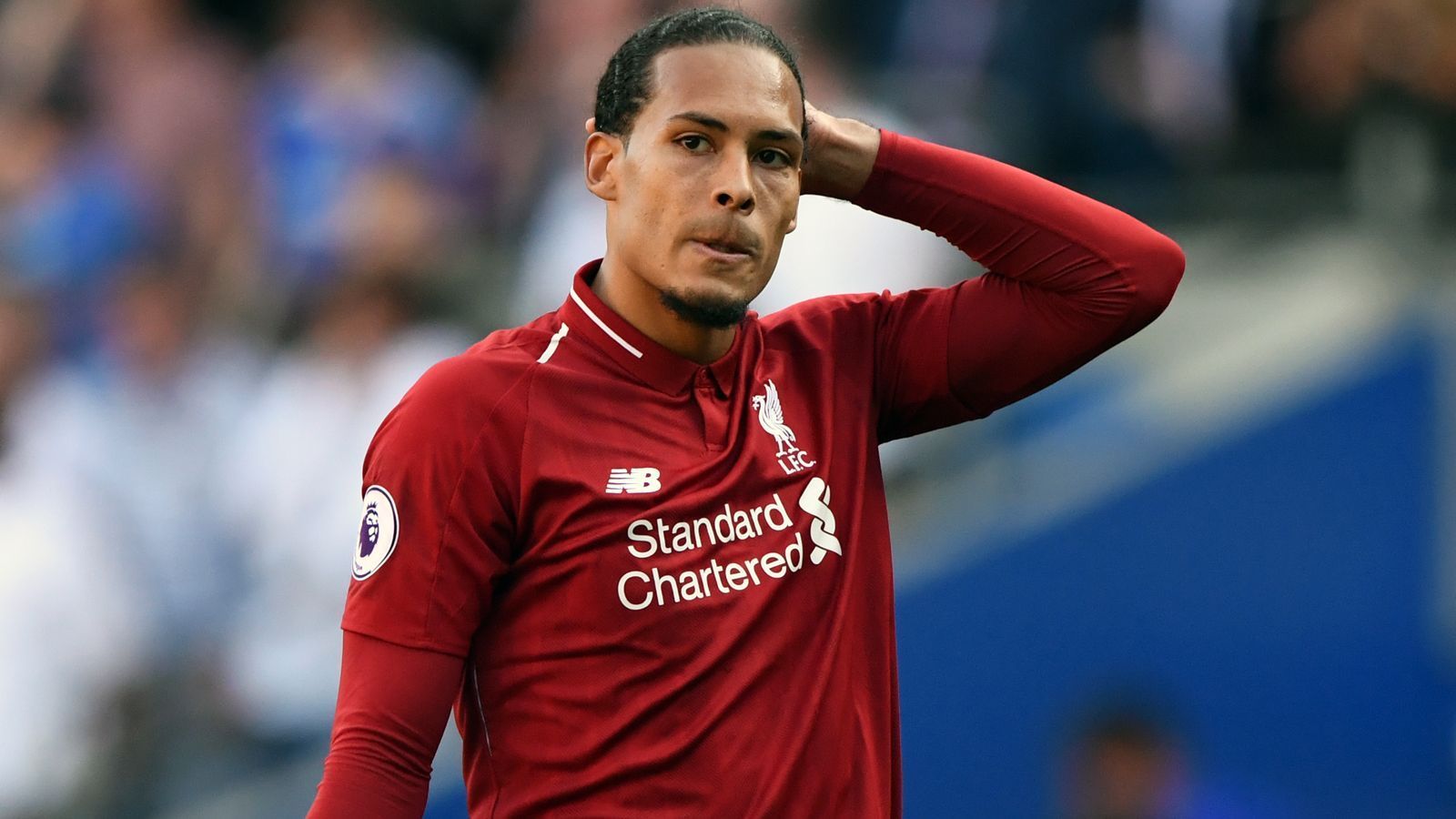 
                <strong>Abwehr - Virgil van Dijk</strong><br>
                Verein: FC LiverpoolSaisoneinsätze in der Premier League: 35Saisontore: 3
              