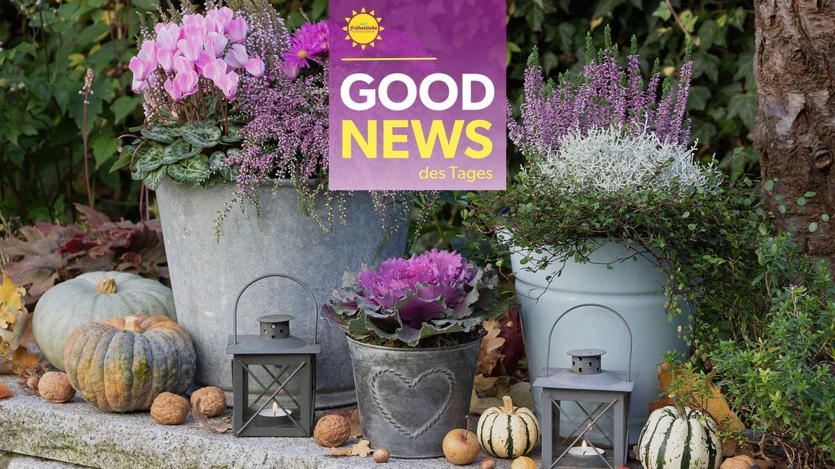 Good News