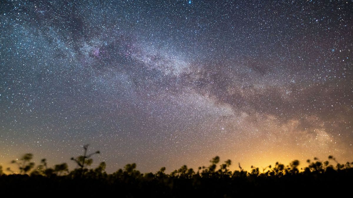 Symbolbild: Der Sternenhimmel leuchtet über einem Rapsfeld. 