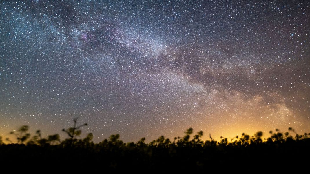 Symbolbild: Der Sternenhimmel leuchtet über einem Rapsfeld. 